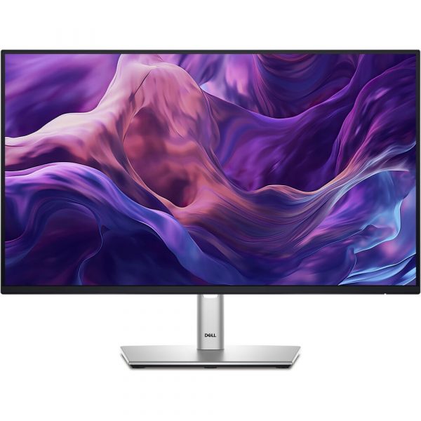 Dell 24" Monitor